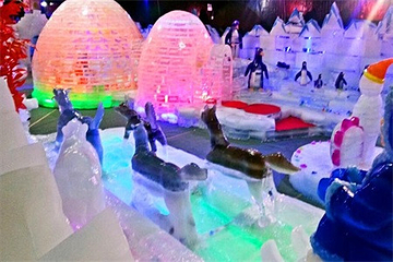西双版纳梦幻冰雪大世界第 21 张图片