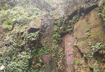 牛姆林生态旅游区第 59 张图片