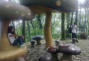 重庆飞悦森林探险乐园第 44 张图片