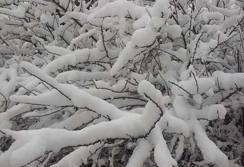 天桥沟滑雪场第 44 张图片