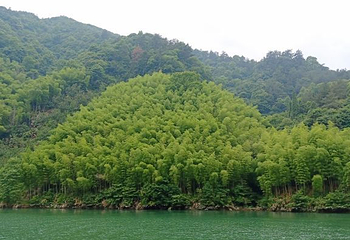 浙西大峡谷第 44 张图片