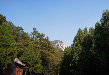 法王寺塔第 23 张图片