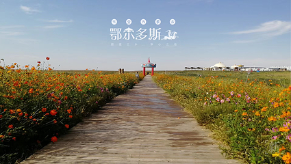 鄂尔多斯草原旅游区第 56 张图片