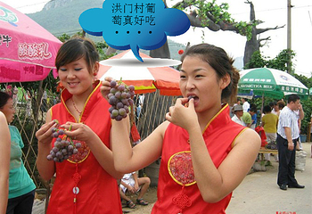 洪门葡萄村第 3 张图片