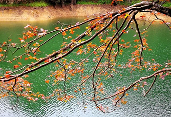 赣州阳明湖景区第 13 张图片