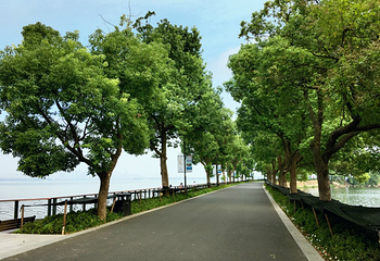 东湖绿道第 21 张图片