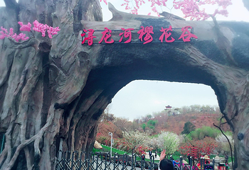 浔龙河生态艺术小镇第 12 张图片