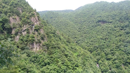 灵江源森林公园第 18 张图片