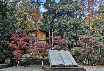 观音桥景区第 35 张图片