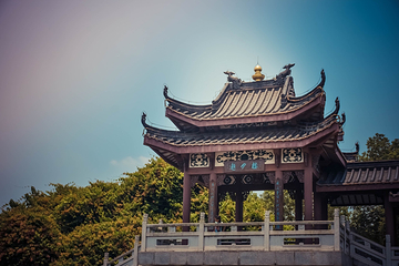 丰渚园第 8 张图片