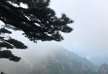 黄山太平索道第 19 张图片