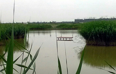 鹤泉湖第 6 张图片