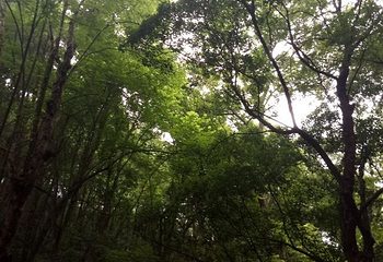 香溪洞第 18 张图片