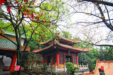 圭峰山国家森林公园第 11 张图片