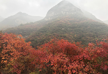 红岩岭自然风景区第 15 张图片