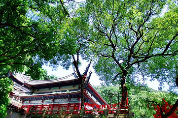 能仁禅寺第 42 张图片