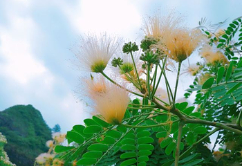 九峰山风景区第 31 张图片