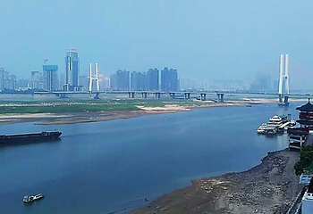 新八一大桥第 12 张图片
