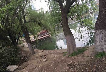 四方山植物园第 22 张图片