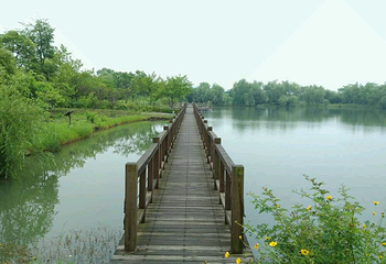 苏州太湖湖滨国家湿地公园第 9 张图片