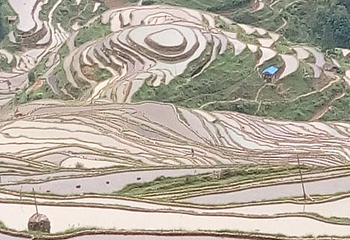 加榜梯田第 68 张图片