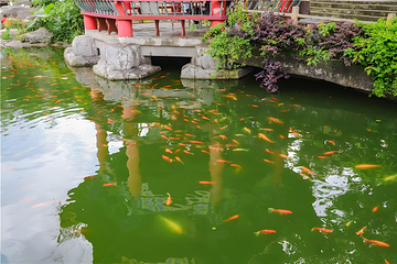 观音山旅游风景区第 153 张图片
