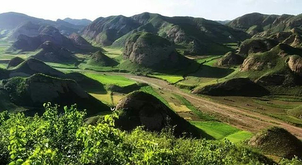 沙漠公园第 25 张图片