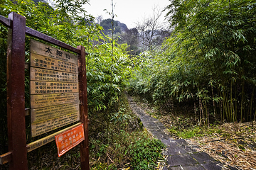绥阳宽阔水第 4 张图片