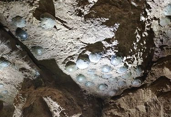 西峡恐龙遗迹园第 27 张图片