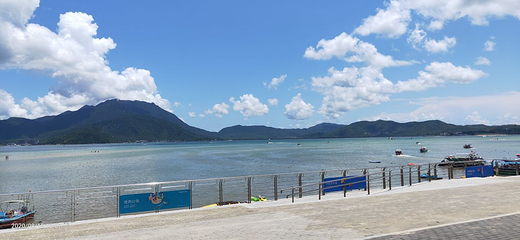 莲花山公园第 43 张图片