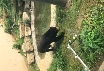 上方山森林动物世界第 68 张图片