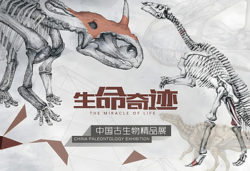 上海自然博物馆第 2 张图片
