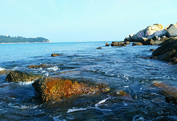 小梅沙海滨乐园第 68 张图片