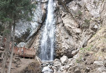 南山牧场西白杨沟景区第 4 张图片
