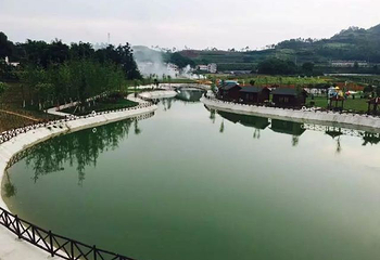 银城花海第 16 张图片