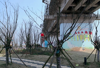 新枫林花海无忧牧场第 31 张图片
