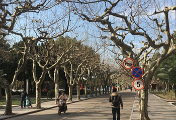 上海师范大学第 20 张图片