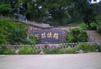 梅家坞茶文化村第 3 张图片