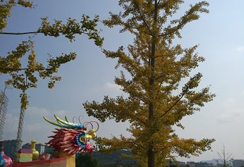 青岛世界园艺博览园第 65 张图片