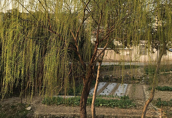 钓鱼山庄水上乐园第 3 张图片