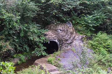 燕子山原始生态旅游风景区第 17 张图片