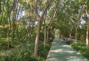 郑州黄河文化公园第 93 张图片