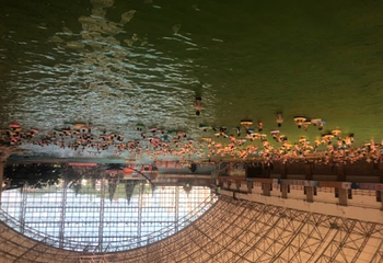 中国死海旅游度假区第 92 张图片