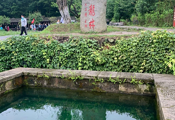 苟坝会议会址第 13 张图片