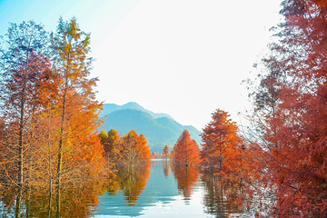 青龙湾生态旅游区第 36 张图片