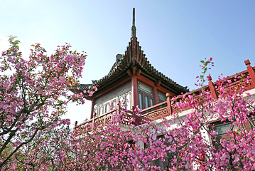 莫愁湖公园第 49 张图片