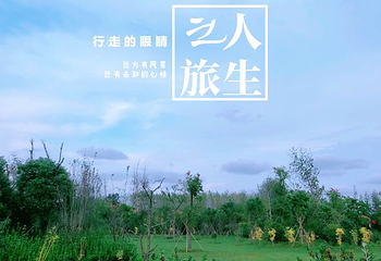 中华麋鹿园第 132 张图片