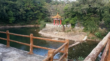 百鸟乐园第 22 张图片
