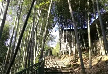 白水涧第 27 张图片