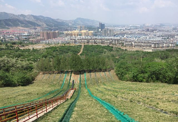 原山国家森林公园第 36 张图片